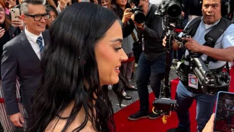 Katy Perry dará concierto en México