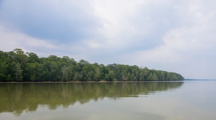 Mueren migrantes en selva del Darién
