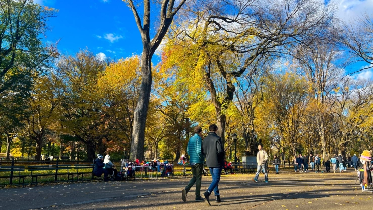Personas caminan en el Central Park, Nueva York