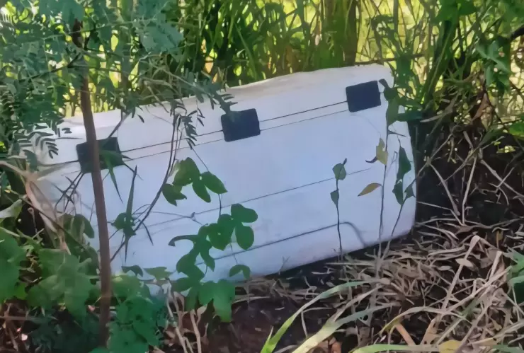 Nevera restos humanos