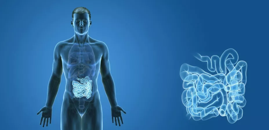 Conmoción cerebral Flow.jpg