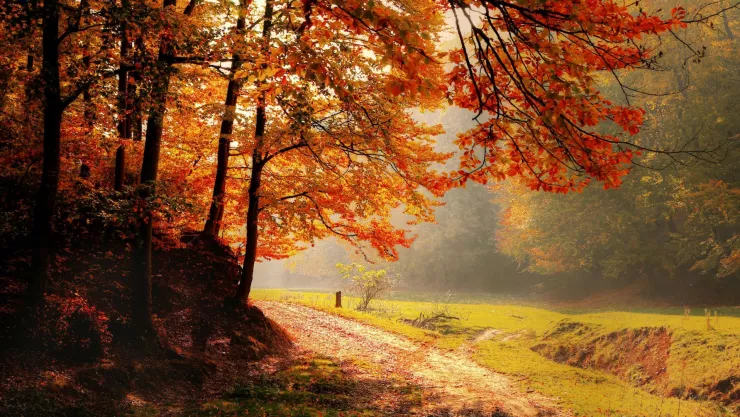 Equinoccio de otoño 2025; ¿qué pasa este día y cuándo sucederá en Aguascalientes