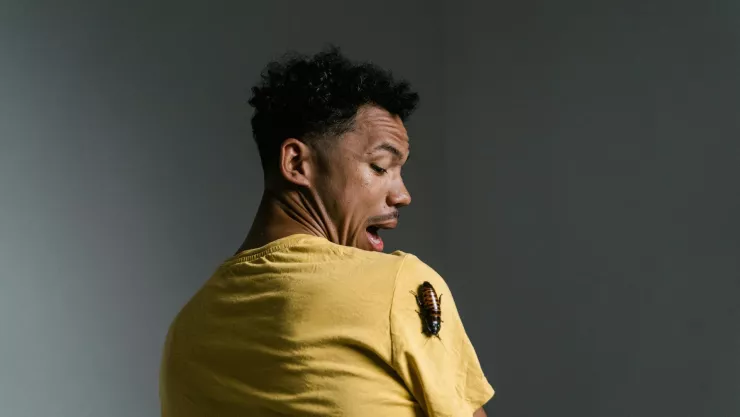 &iquest;C&oacute;mo hacer un insecticida para cucarachas casero?