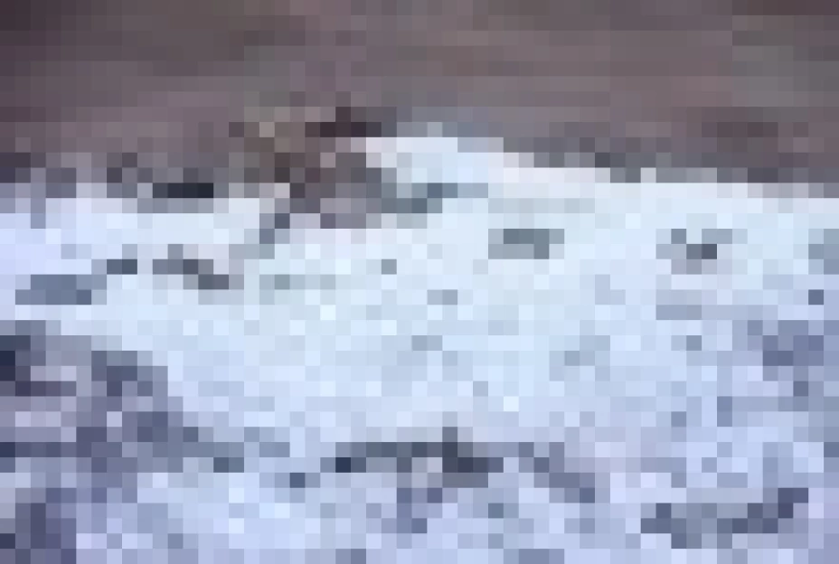 Guangdong es la provincia más afectada