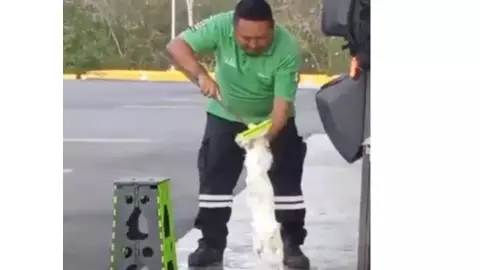 Empleado de gasolinera baña a perro callejero por el calor y se viraliza en TikTok; video (1).jpg