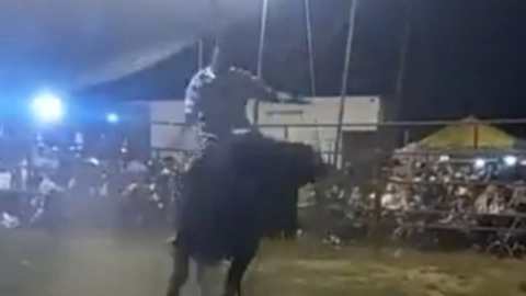 niño-de-oro2.jpg