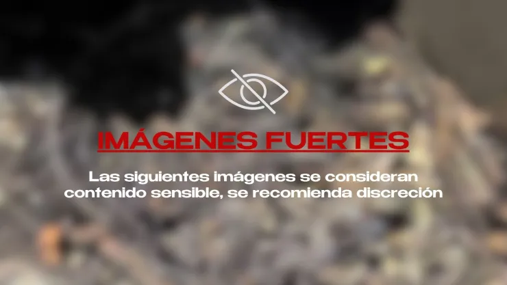 “Todavía estaba humeando”... Madres encuentran presunto crematorio clandestino en Lagos de Moreno