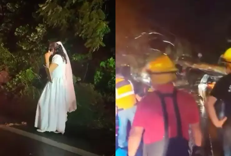 Árbol cae sobre recién casados mientras iban a su luna de miel; sobrevivieron