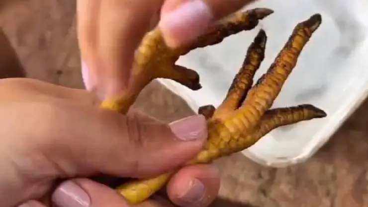 Manicure a gallina.jpg