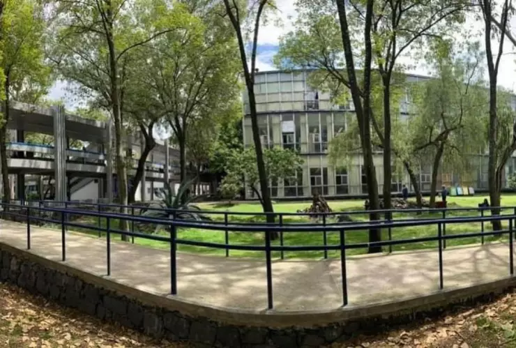Más chinches en la UNAM ahora en Facultad de Veterinaria