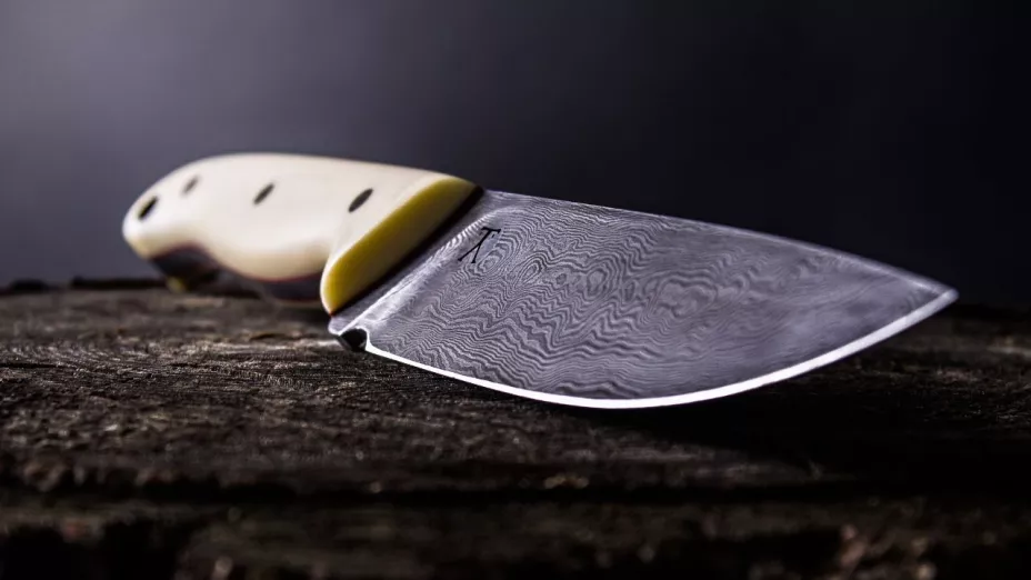 Torreón Mujer denuncia a la pareja de su hijo por acuchillarla.jpg