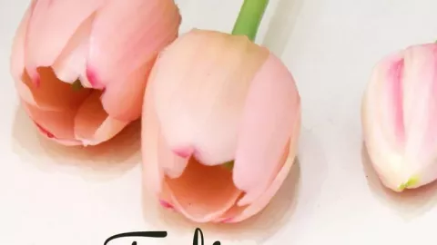 Imágenes de “Buenos días y feliz jueves” para WhatsApp y redes sociales