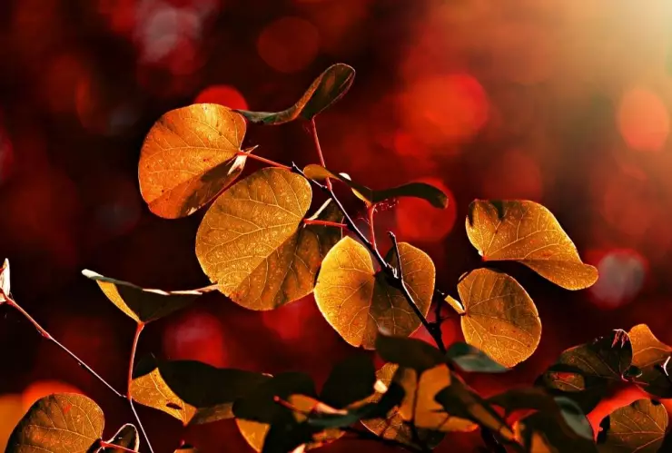 Equinoccio de otoño, cuándo, México b.jpg