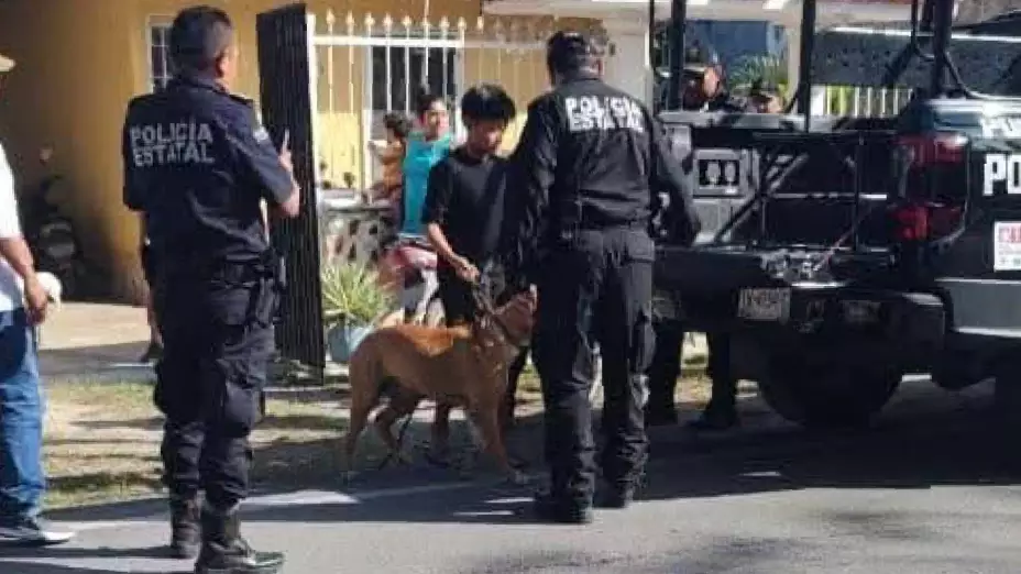 Ataque de perros en Progreso_ Una mujer resultó lesionada hoy 16 de febrero de 2025