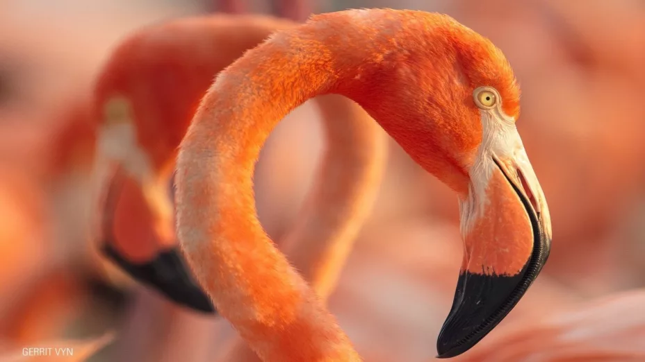 WhatsApp Image 2026-03-24 at 1.5.jpg