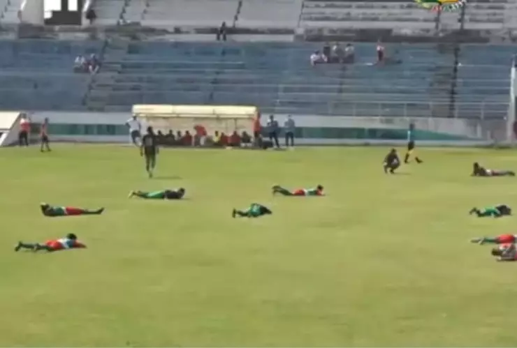 Abejas, partido, video.jpg