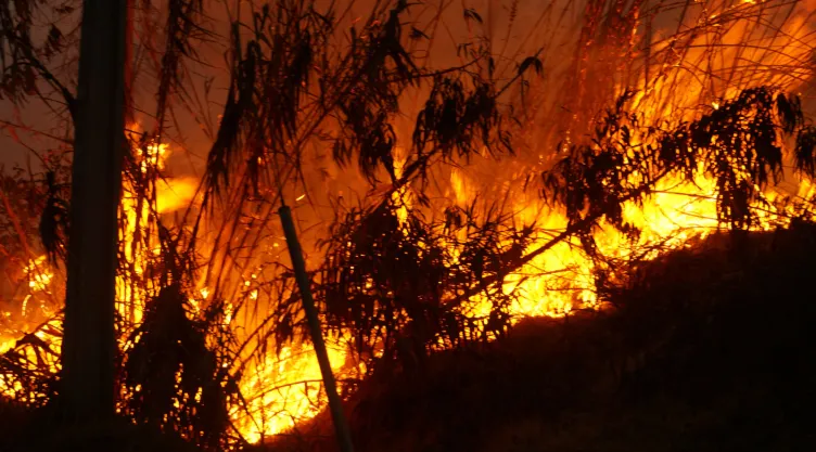 Incendio sierra