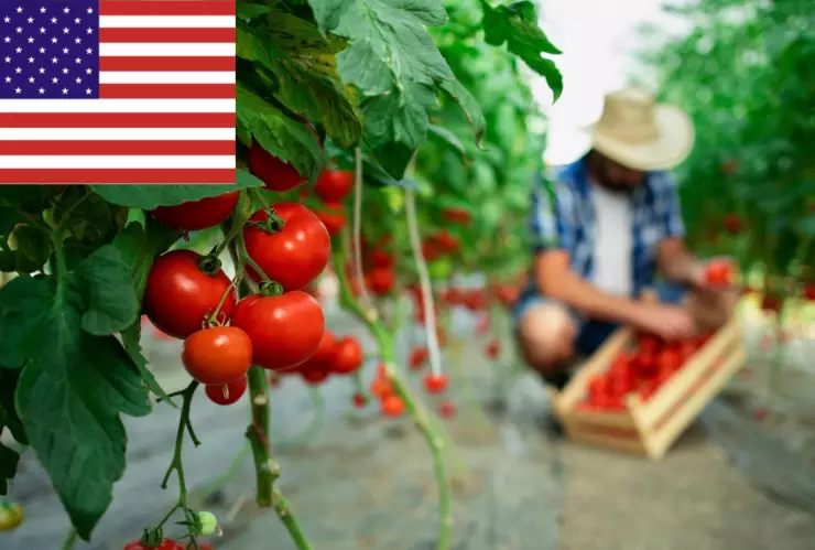 Ciudadanos de estos países pueden solicitar visa de trabajo en USA