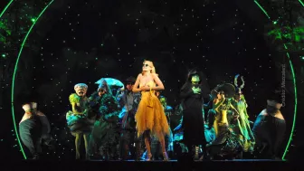 Y aunque muchos no lo recuerdan, Elphaba fue el brinco que Danna necesitaba para iniciar una nueva etapa en su carrera.