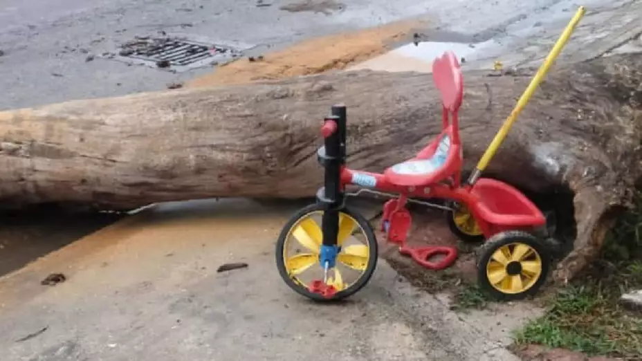 FOTO Cae tronco encima de un niño que iba en su triciclo en Umán