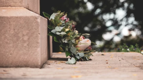 Horror en panteón: hallan a mujer muerta junto a la tumba de su hermano