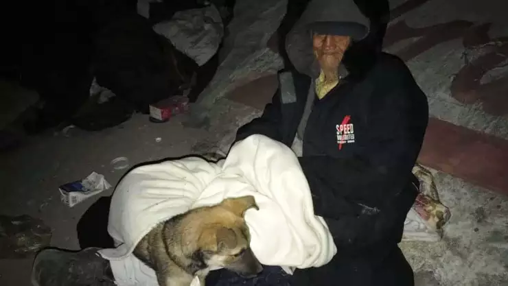 adulto mayor perros incendio .jpg