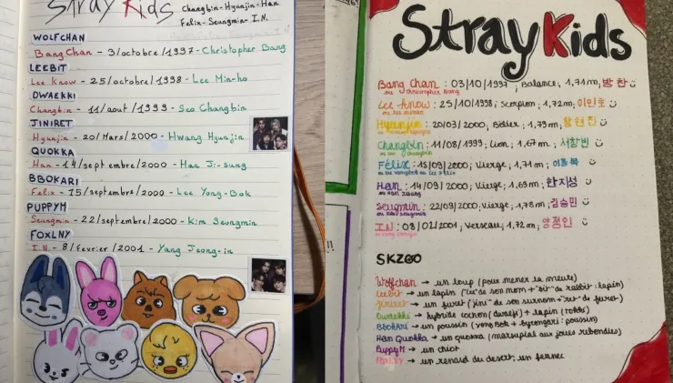 Stray Kids