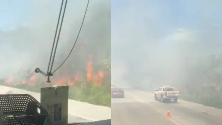 Se registra incendio en vegetación de la carretera federal 307 tramo Playa del Carmen - Puerto Morelos