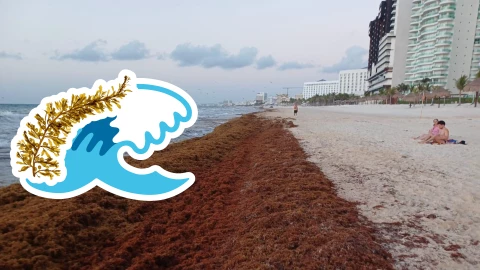 Playas libres de sargazo en Quintana Roo HOY 29 de agosto de 2025_ Lista desde Holbox, Cancún y hasta Tulum.jpg