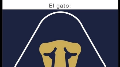 Las redes sociales se rieron de la eliminaci&oacute;n de Pumas