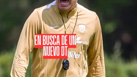 Quién debe tomar el mando de Pumas UNAM por el despido OFICIAL de su DT tras el Apertura 2025