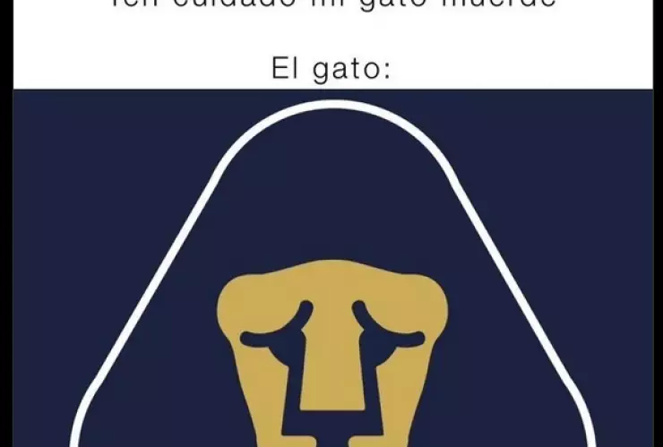 Las redes sociales se rieron de la eliminación de Pumas