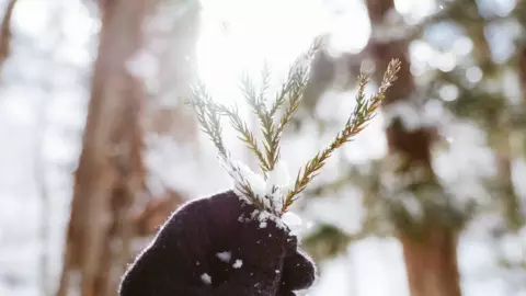 Solsticio de Invierno 2024_ ¿Cuándo inicia en México_.jpg