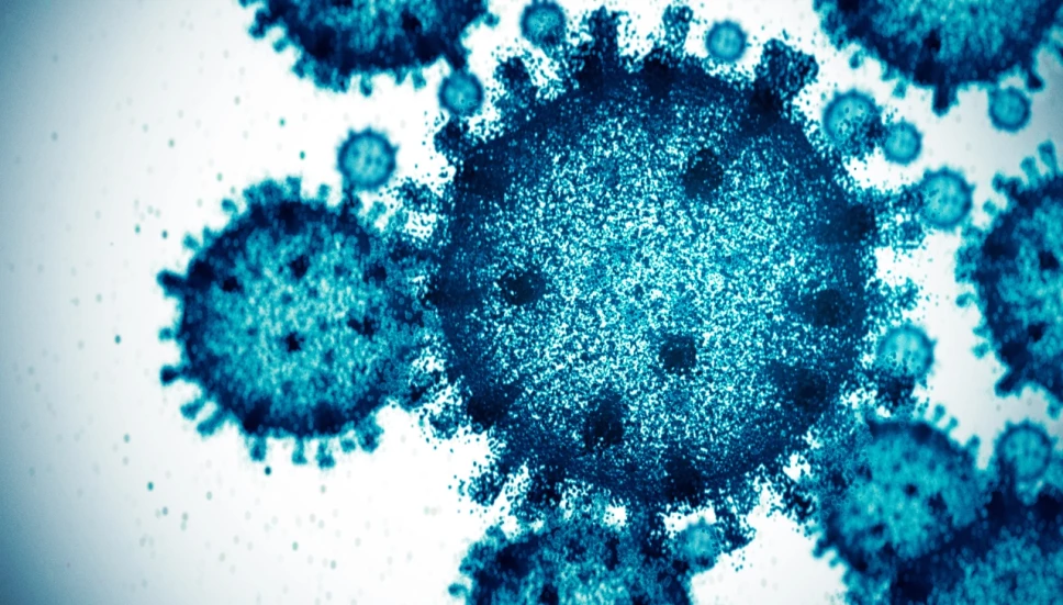virus China
