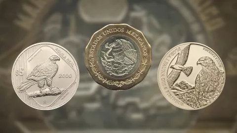 Pagan 6,000,000 por moneda de 20 pesos con error en el ala del águila.jpg