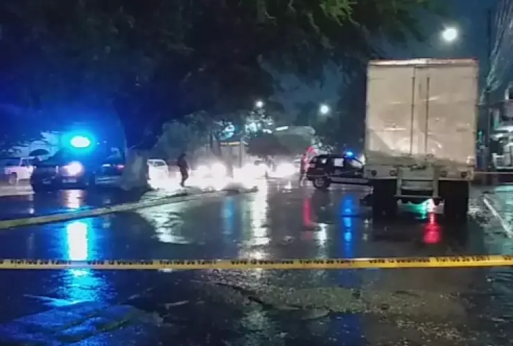 encarnación de díaz