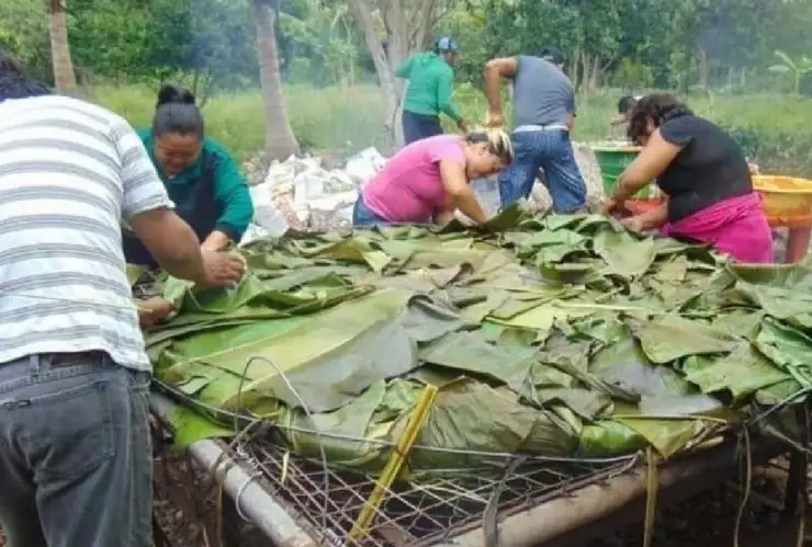 Vecinos de Tekax crean el pibipollo más grande de Yucatán