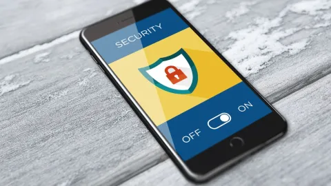 SEGURIDAD CELULAR