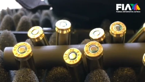 ley de armas de fuego