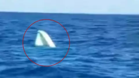 pescadores hallan lancha a la deriva en sisal