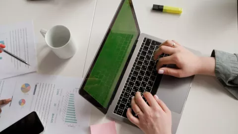 Cómo corregir errores en cédula profesional.