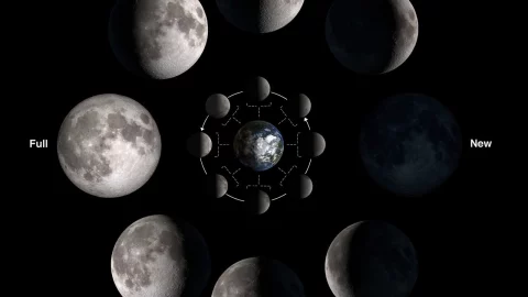 1257_moon_phases_1280.jpg
