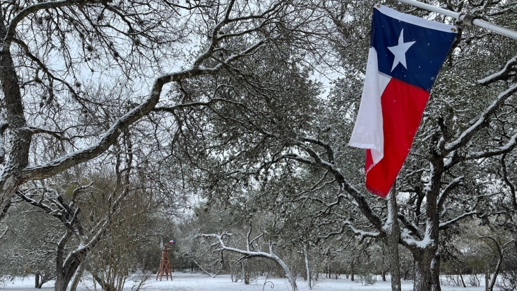 Bandera de Texas en medio de un paisaje invernal con nieve