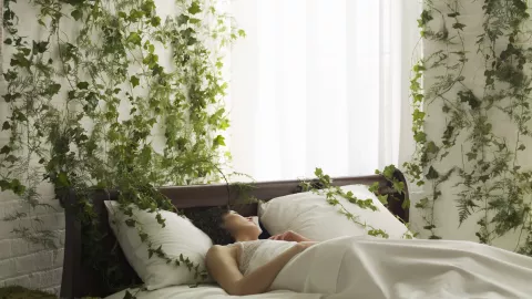 dormir con plantas cerca