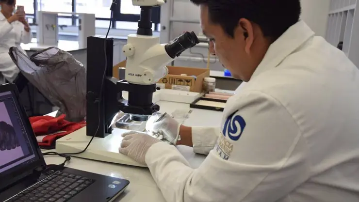 Estudiante de la facultad de medicina de la UNAM