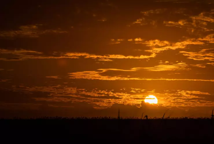 Clima Aguascalientes ¿Cuándo termina la temporada de invierno 2024-2025