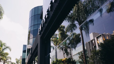 barrios CDMX marcas diseñador