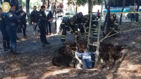 VIDEO: Rescatan a un perrito que cayó a un socavón en la Cuauhtémoc