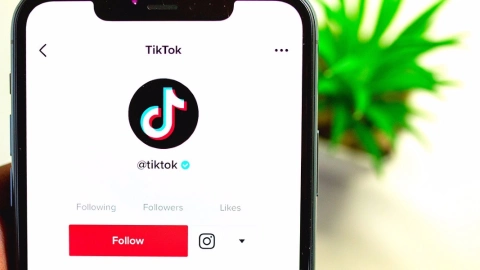 Cómo recuperar video TikTok