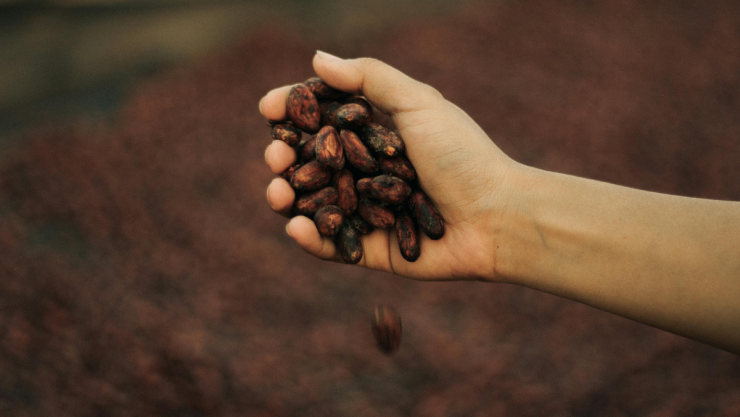 cacao.png